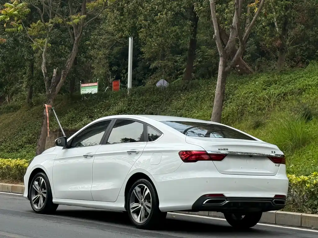 Geely Binrui 2019