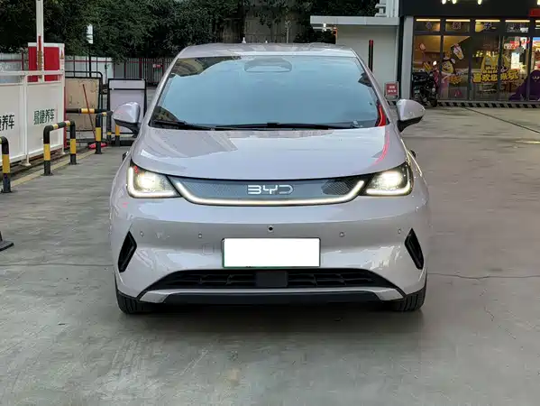 BYD Dolphin 2025