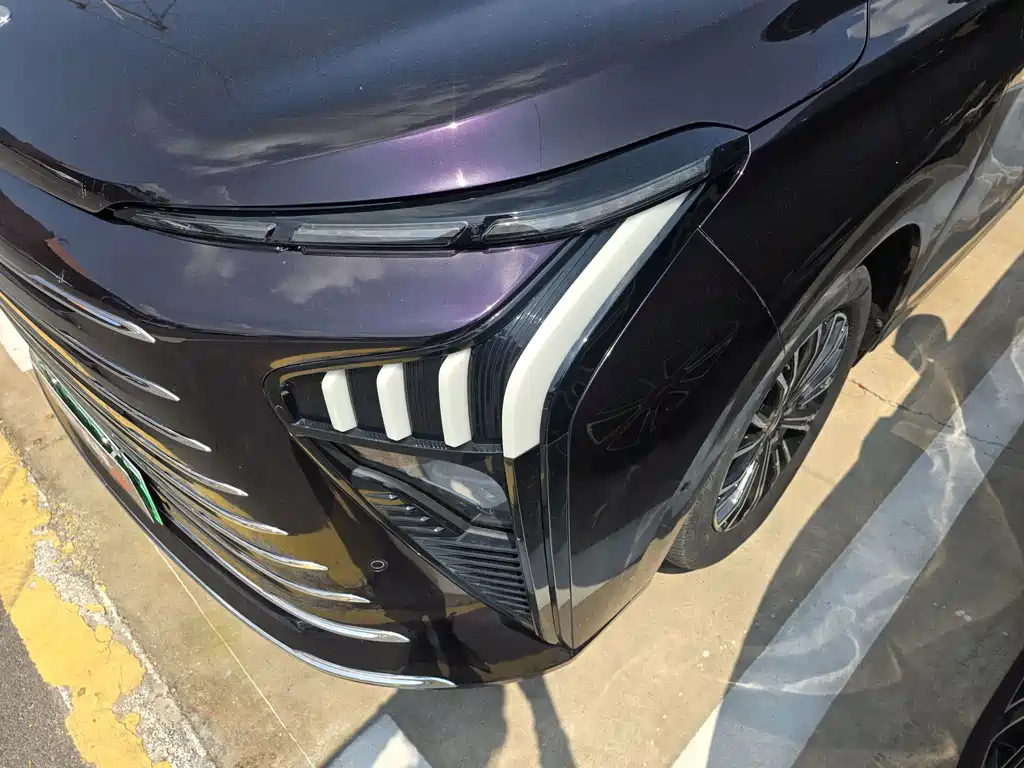 Dongfeng Forthing Xinghai V9 2024 — фото 4