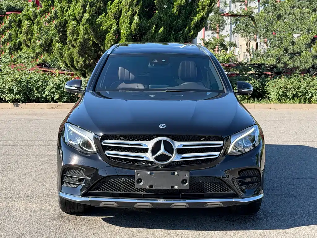 Mercedes-Benz GLC 2019 — фото 1