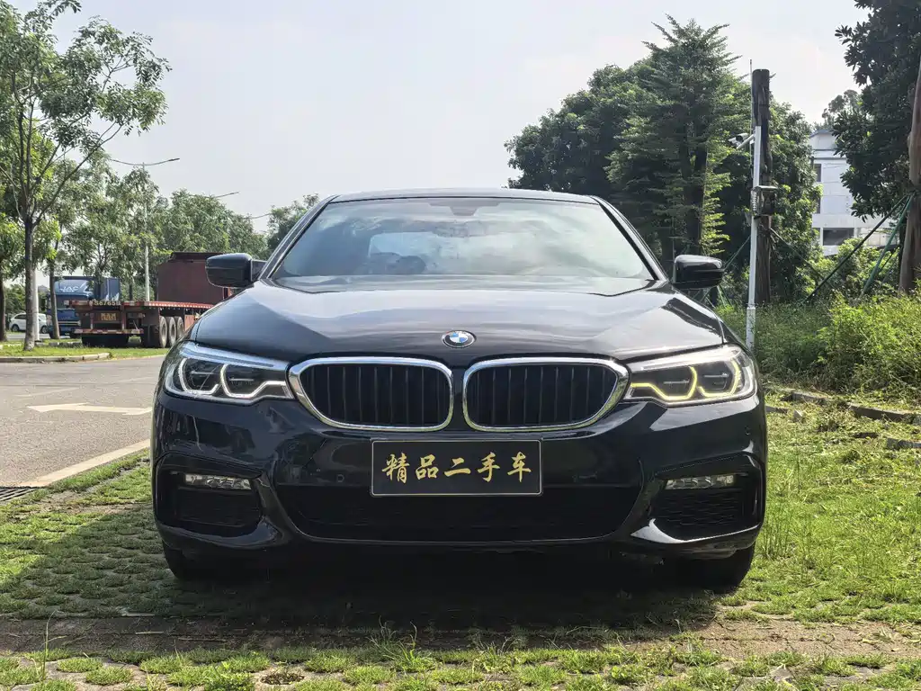 BMW 5 Series 2019