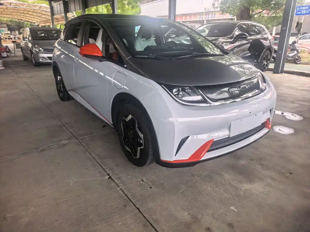 BYD Dolphin 2022
