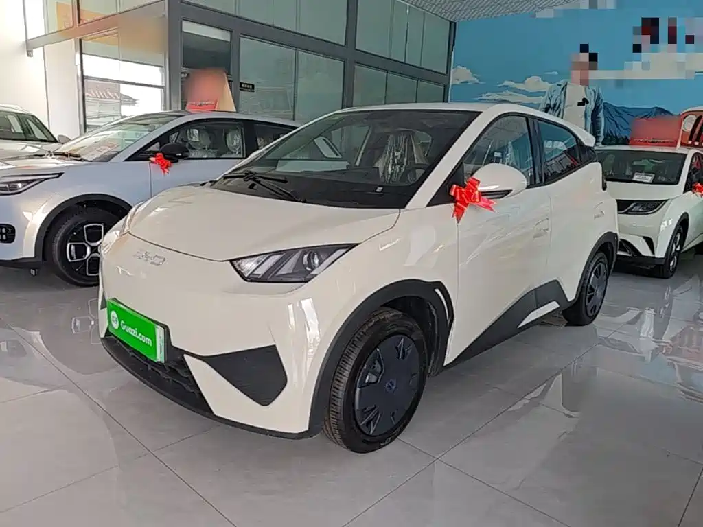 BYD Seagull 2026