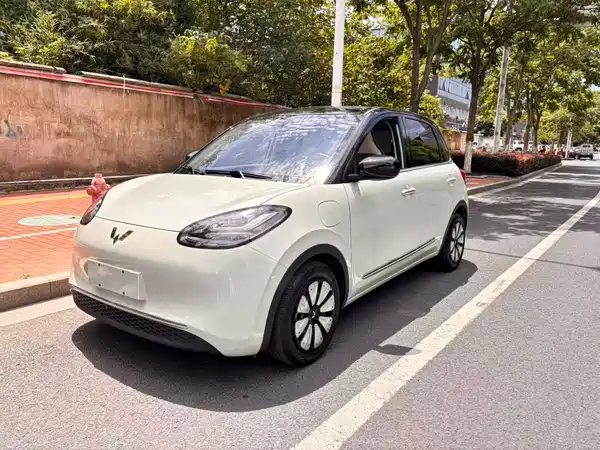 Wuling Bingo 2023