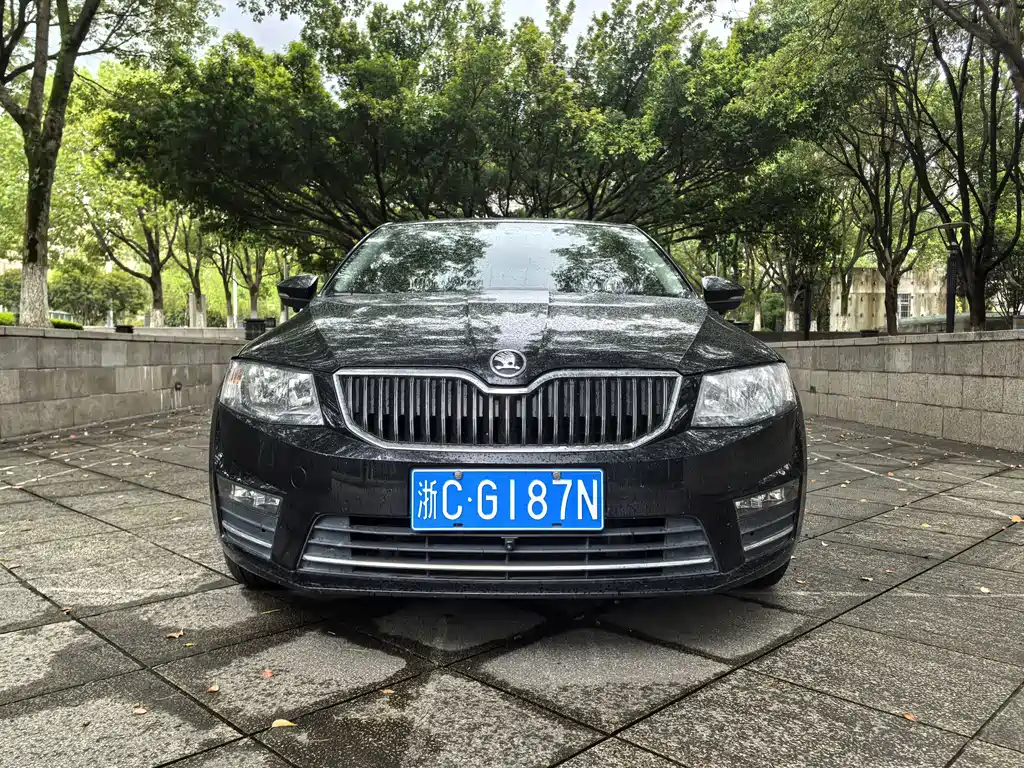 Skoda Octavia 2017 — фото 2