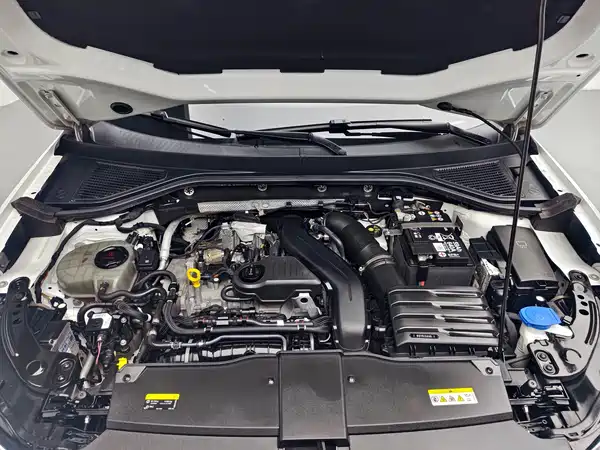 Volkswagen T-Roc 2024