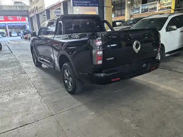 Great Wall Poer 2024