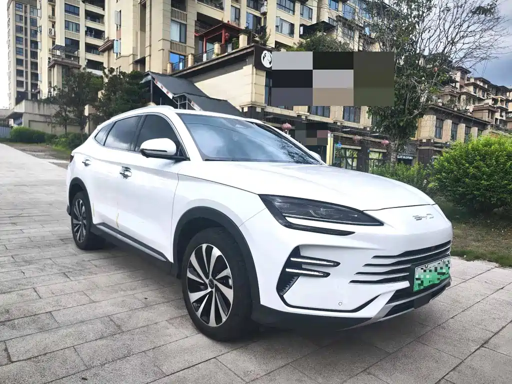 BYD PLUS New Energy 2024 — фото 3