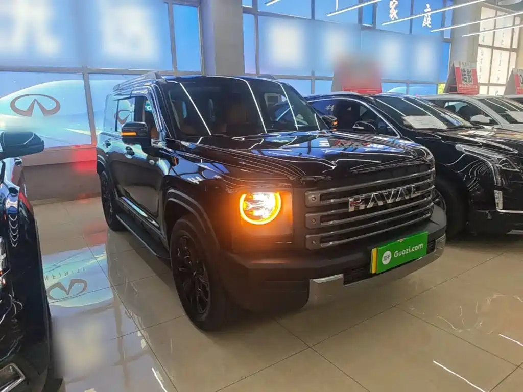 Haval Menglong New Energy 2025