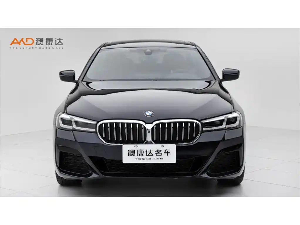 BMW 5 Series 2021