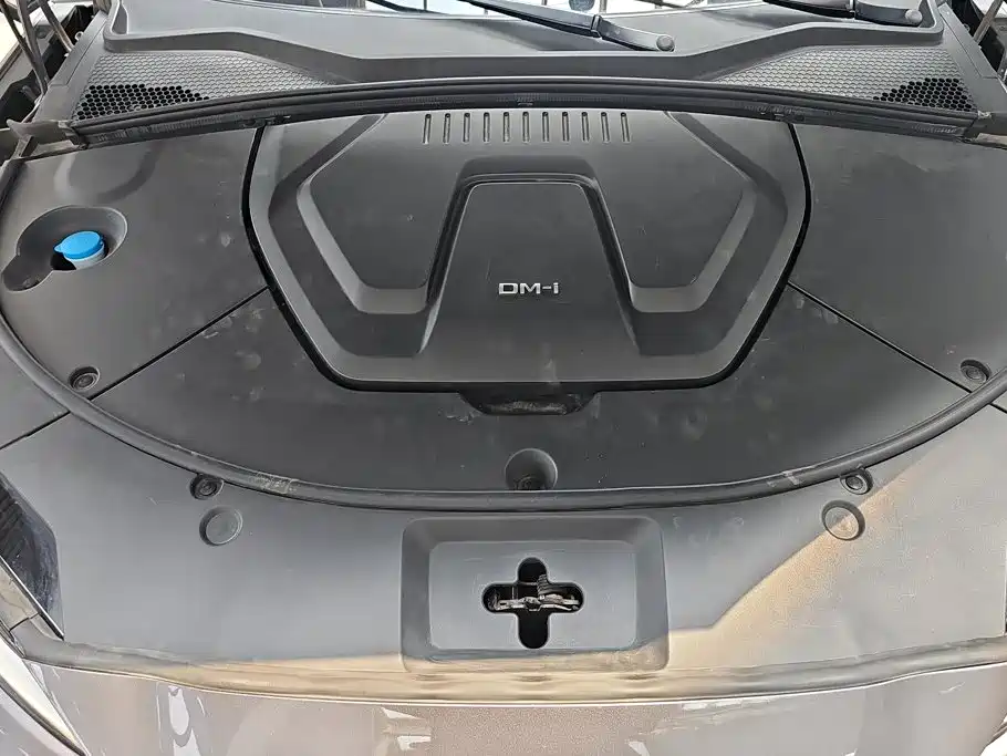BYD Song PLUS New Energy 2023 — фото 10