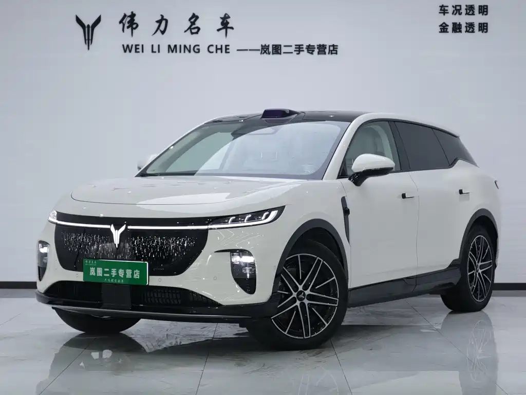 VOYAH Zhiyin 2025