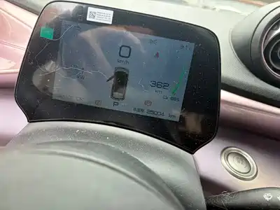 BYD Dolphin 2024