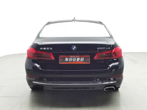 BMW 5 Series New Energy 2019