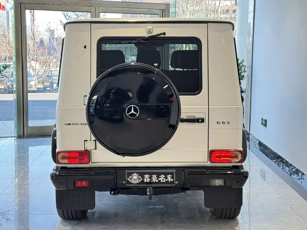 Mercedes-Benz G-Class 2012 — фото 17
