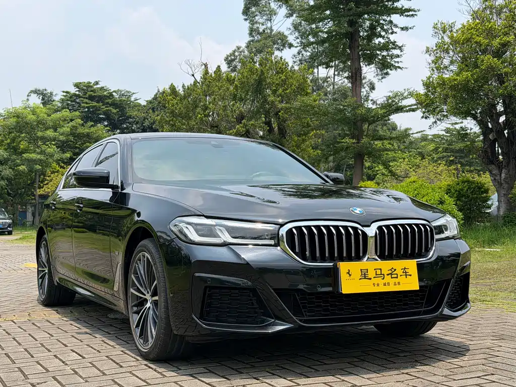 BMW 5 Series 2022