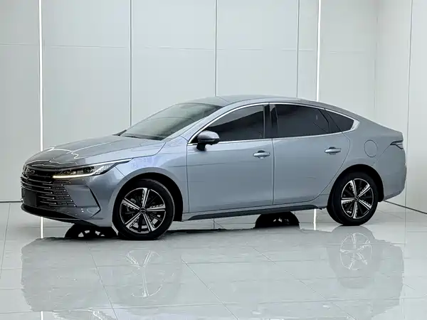 BYD Destroyer 05 2024