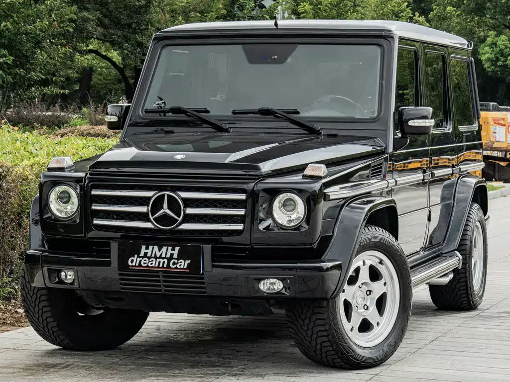 Mercedes-Benz G-Class AMG 2009 — фото 1