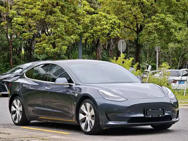 Tesla Model 3 2019