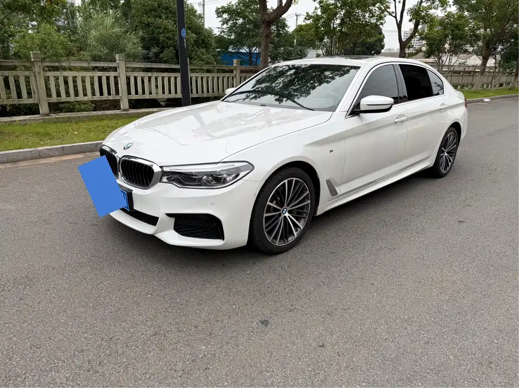 BMW 5 Series 2020