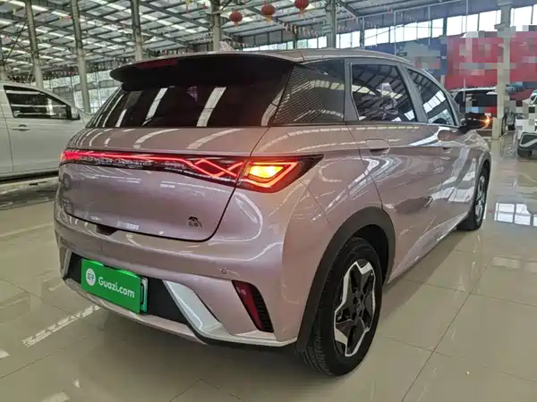 BYD Dolphin 2022