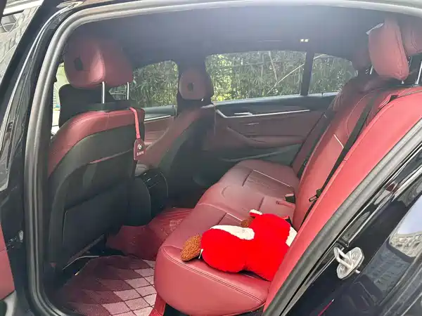 BMW 5 Series 2021