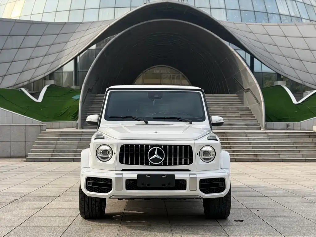 Mercedes-Benz G-Class 2019 — фото 2