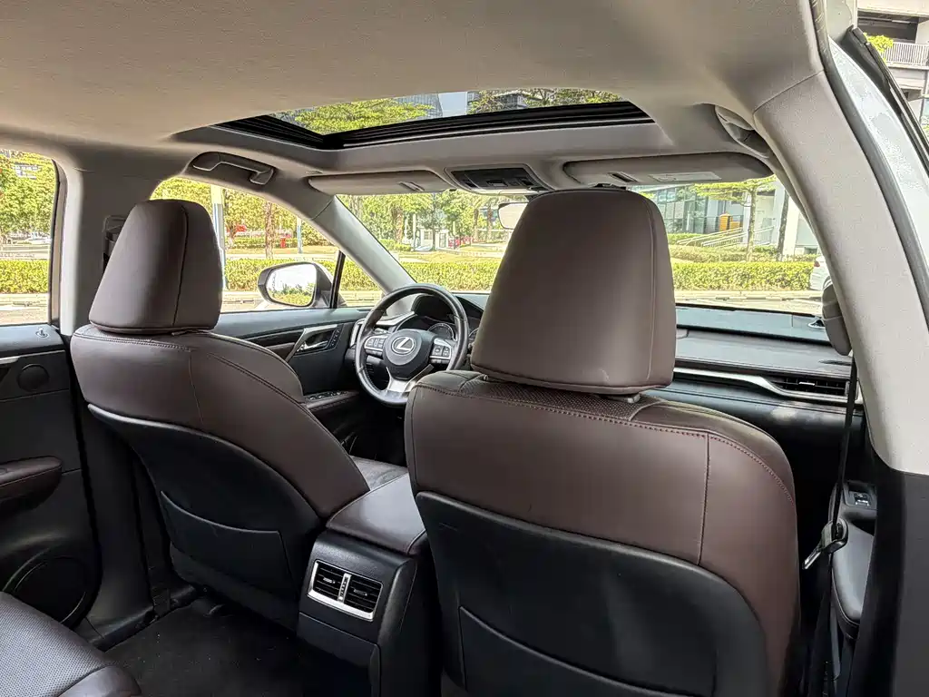 Lexus RX 2020 — фото 14