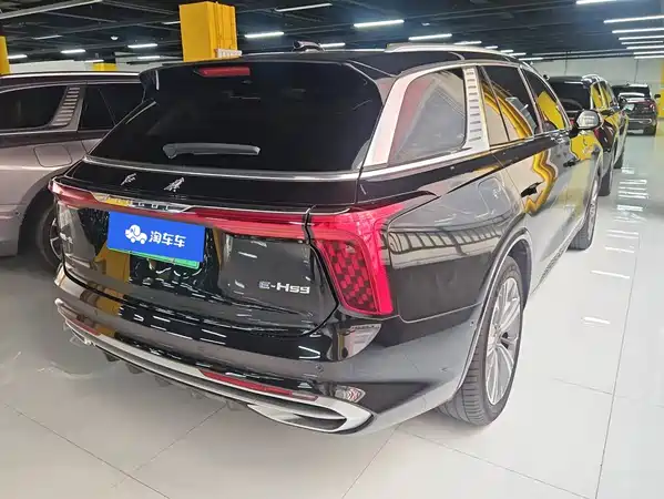 Hongqi E-HS9 2023