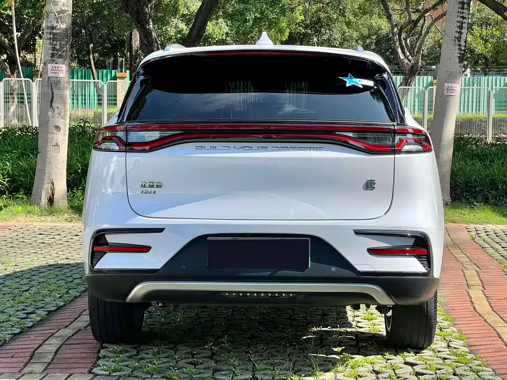 BYD Tang New Energy 2021 — фото 14