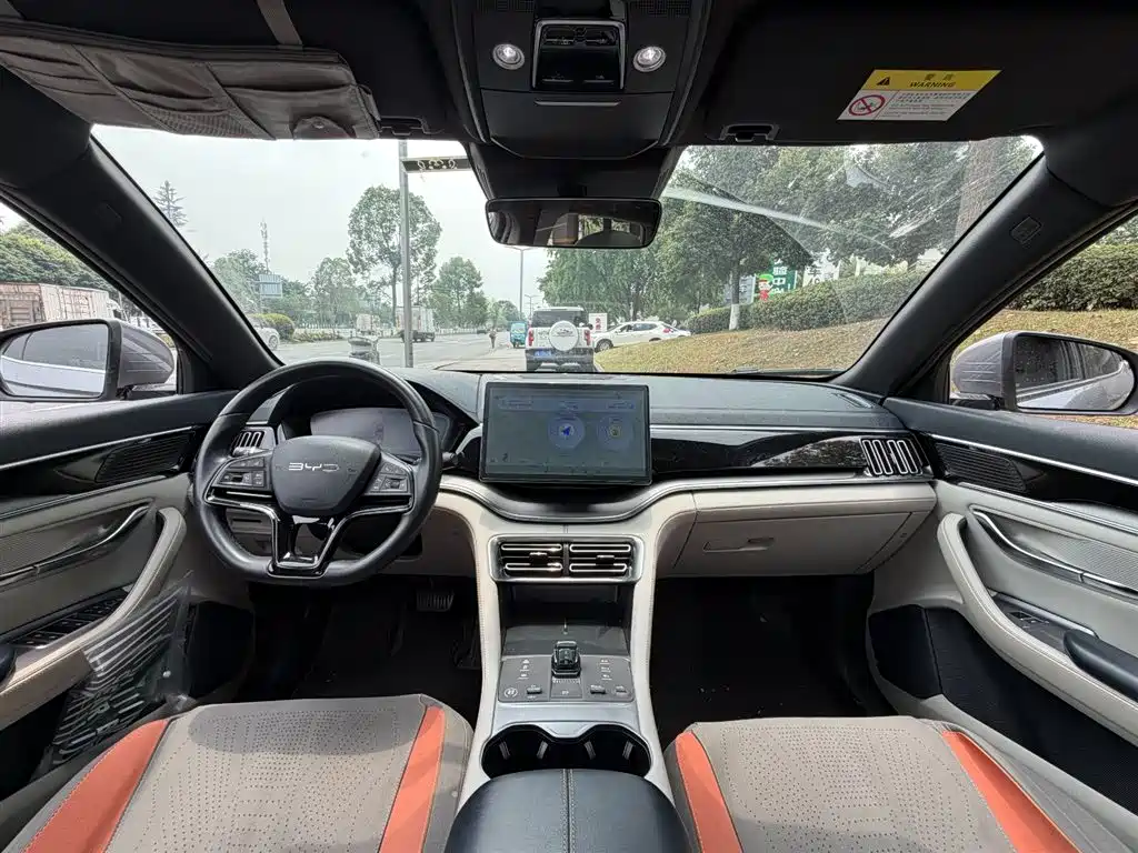 BYD PLUS New Energy 2024 — фото 11