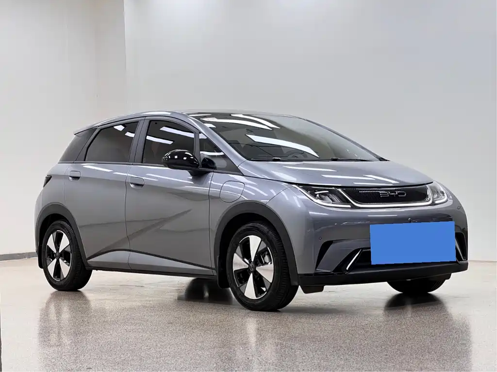 BYD Dolphin 2024