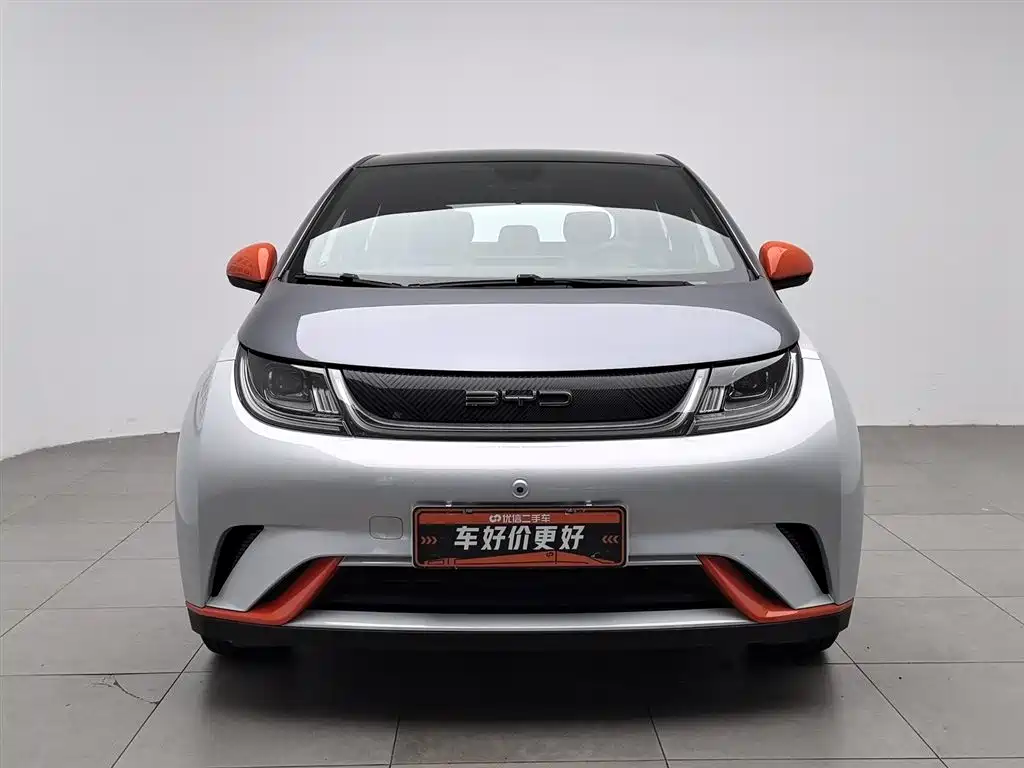 BYD Dolphin 2022