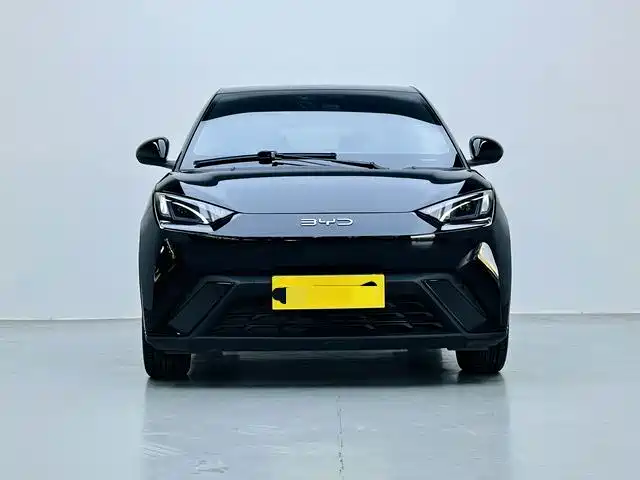 BYD Seagull 2024