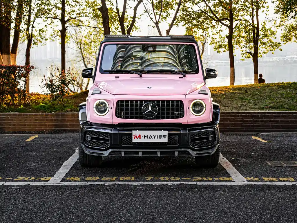 Mercedes-Benz G-Class 2018 — фото 2