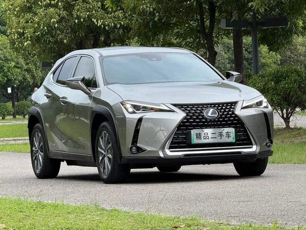 Lexus UX New Energy 2020 — фото 3