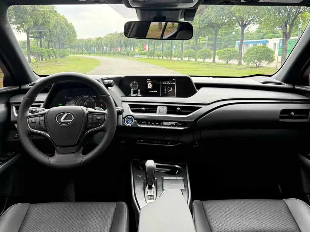 Lexus UX New Energy 2020 — фото 15