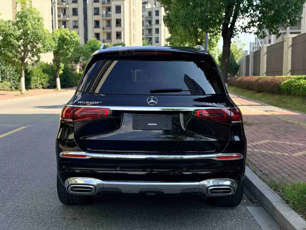 Mercedes-Benz Maybach GLS 2021 — фото 15