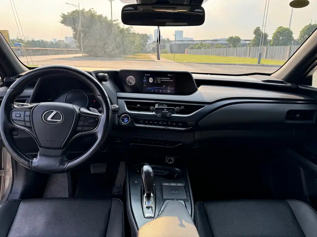 Lexus UX New Energy 2020 — фото 9