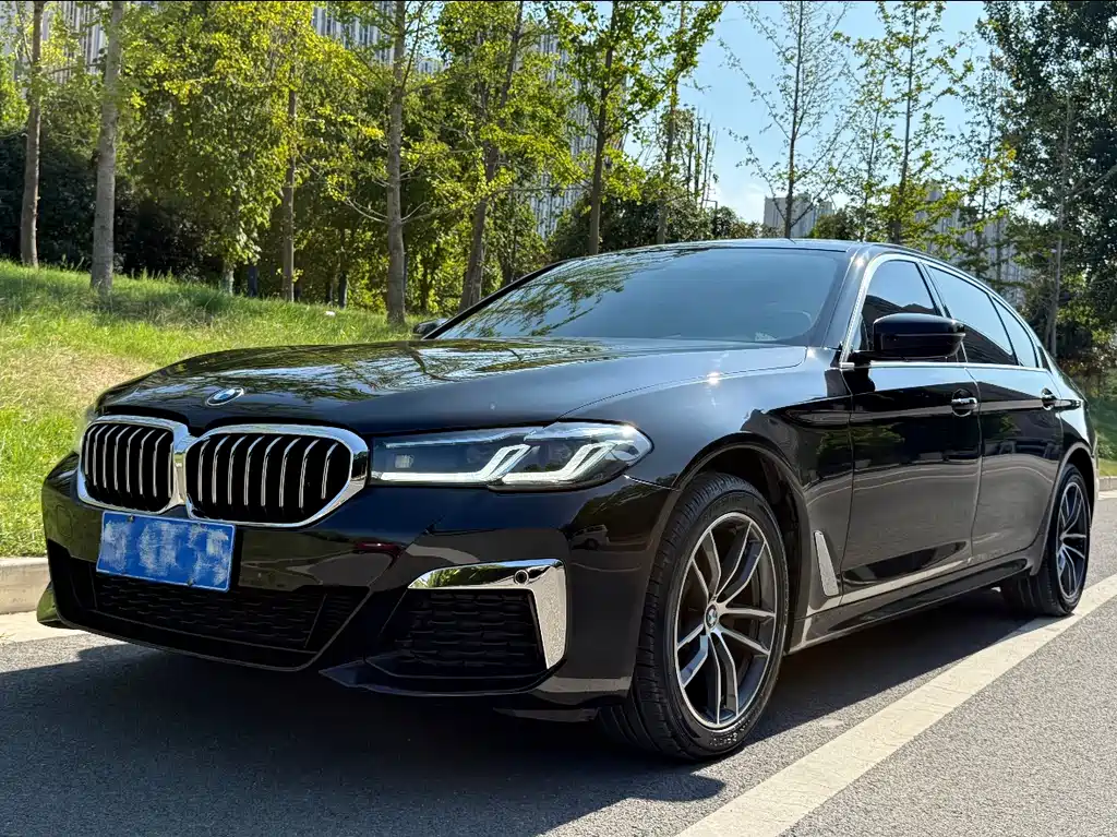 BMW 5 Series 2020
