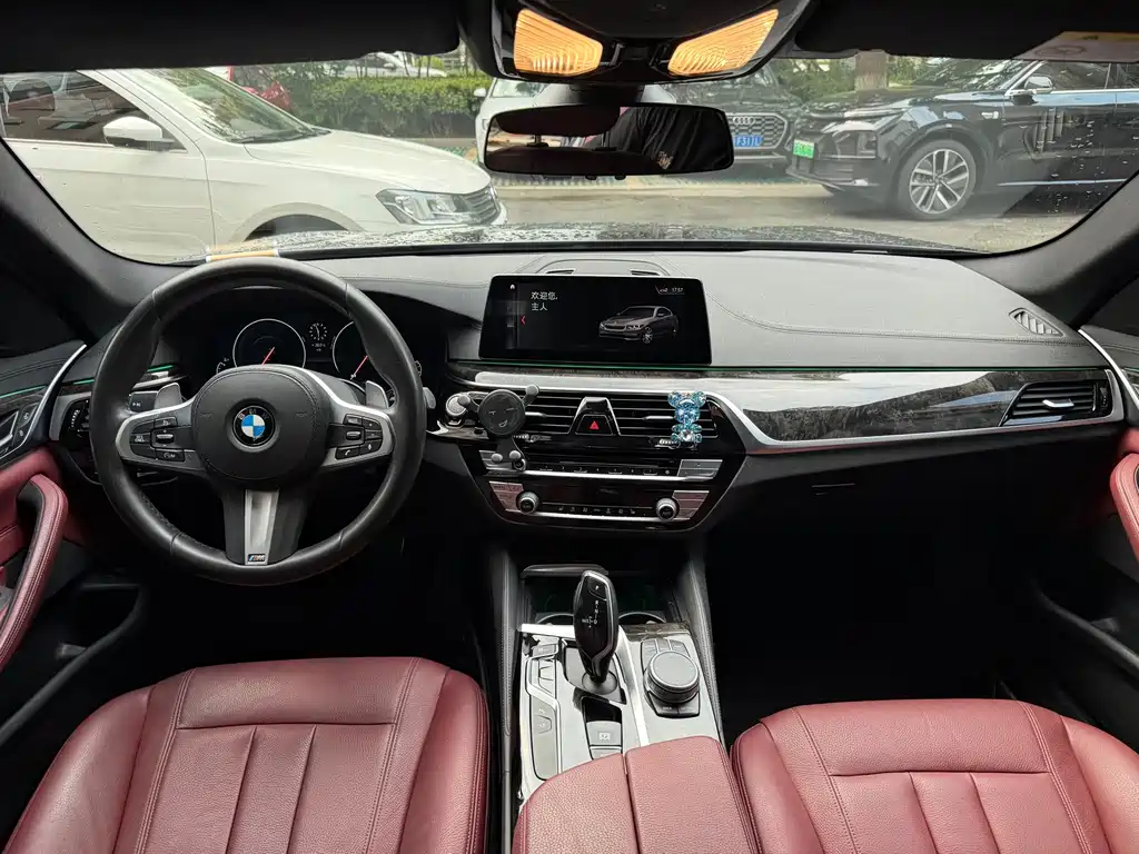 BMW 5 Series 2019 — фото 9