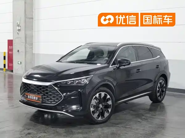 BYD Tang New Energy 2024