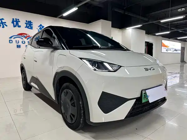 BYD Seagull 2025