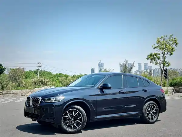BMW X4 2022