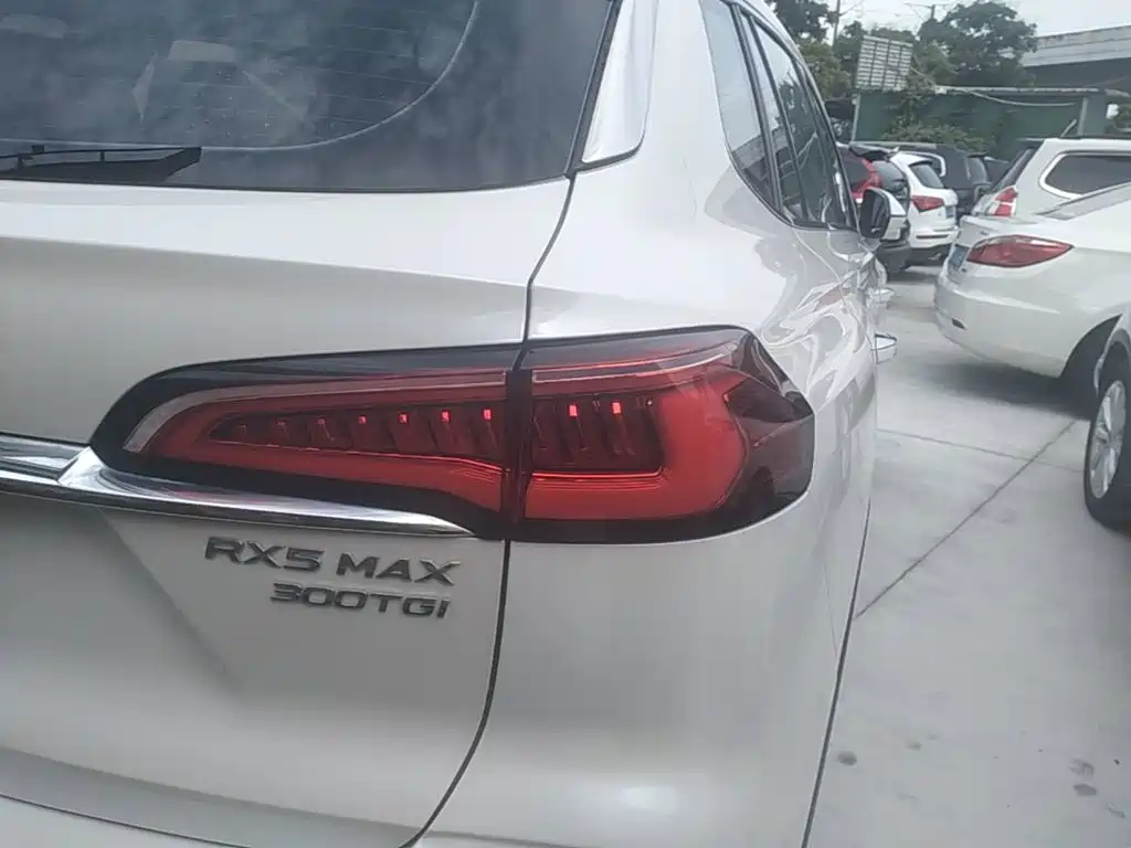 Roewe RX5 MAX 2020 — фото 8