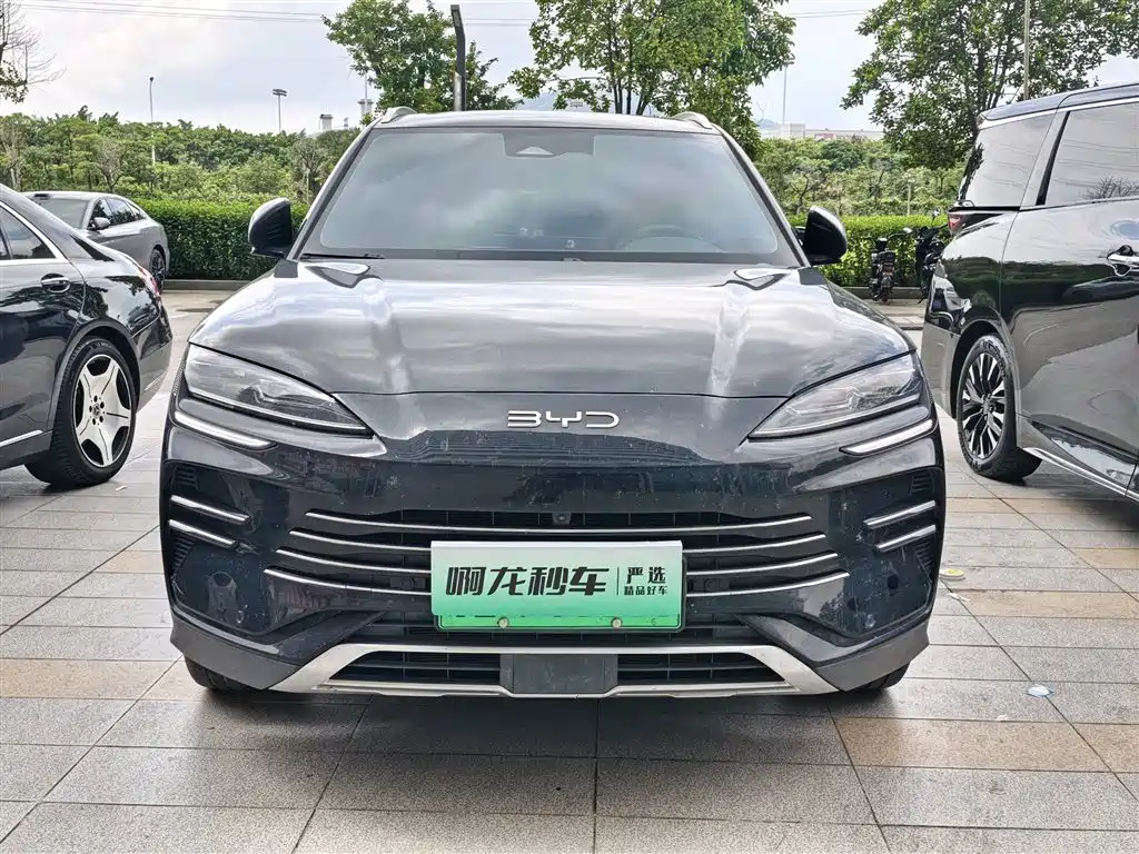 BYD PLUS New Energy 2024 — фото 2
