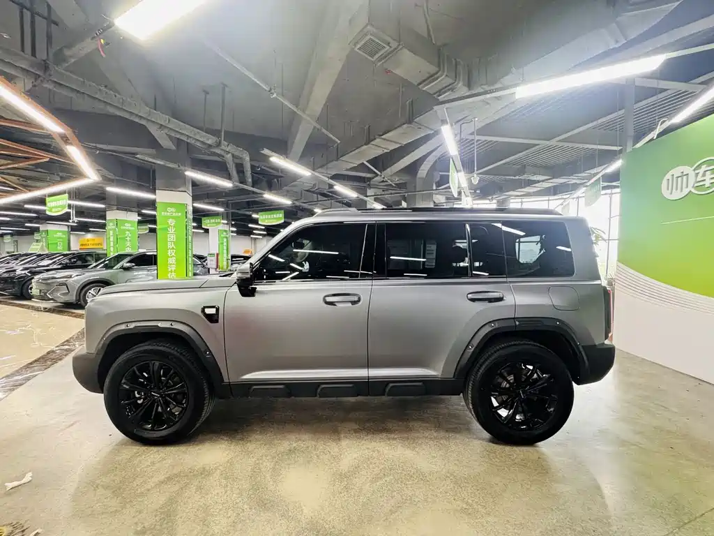 Haval Menglong New Energy 2025