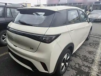 BYD Dolphin 2026
