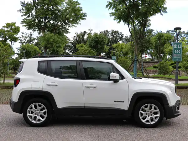 Jeep Freeman 2017