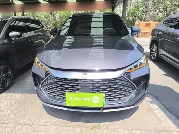 BYD Tang New Energy 2024